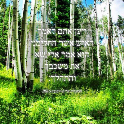 Picture 04 - הבשורה על־פי יוחנן 5:11 HEB - ויען אתם לאמר האיש אשר - Bible Verse Picture