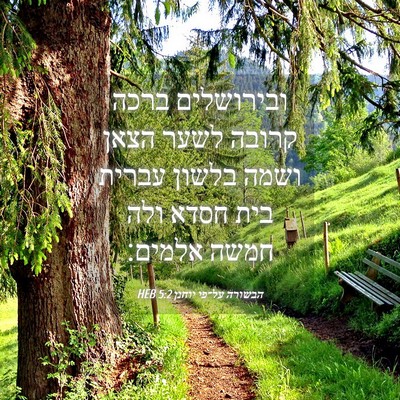 Picture 04 - הבשורה על־פי יוחנן 5:2 HEB - ובירושלים ברכה קרובה לשער - Bible Verse Picture