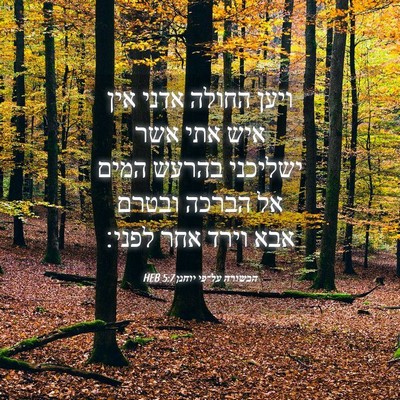 Picture 04 - הבשורה על־פי יוחנן 5:7 HEB - ויען החולה אדני אין איש אתי - Bible Verse Picture