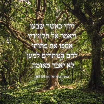 Picture 04 - הבשורה על־פי יוחנן 6:12 HEB - ויהי כאשר שבעו ויאמר אל - Bible Verse Picture