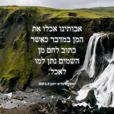 Picture 04 - הבשורה על־פי יוחנן 6:31 HEB - אבותינו אכלו את המן במדבר - Bible Verse Picture