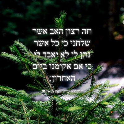Picture 04 - הבשורה על־פי יוחנן 6:39 HEB - וזה רצון האב אשר שלחני כי - Bible Verse Picture