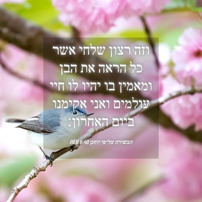 Picture 04 - הבשורה על־פי יוחנן 6:40 HEB - וזה רצון שלחי אשר כל הראה - Bible Verse Picture