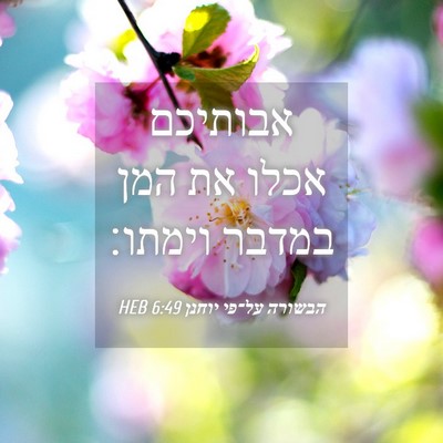 Picture 04 - הבשורה על־פי יוחנן 6:49 HEB - אבותיכם אכלו את המן במדבר - Bible Verse Picture