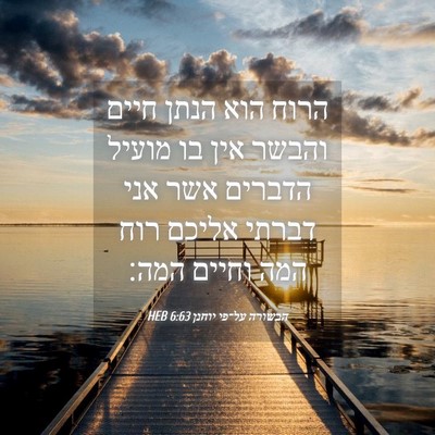 Picture 04 - הבשורה על־פי יוחנן 6:63 HEB - הרוח הוא הנתן חיים והבשר - Bible Verse Picture