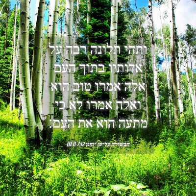 Picture 04 - הבשורה על־פי יוחנן 7:12 HEB - ותהי תלונה רבה על אדותיו - Bible Verse Picture
