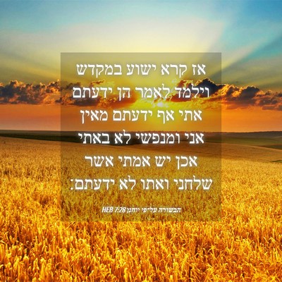 Picture 04 - הבשורה על־פי יוחנן 7:28 HEB - אז קרא ישוע במקדש וילמד - Bible Verse Picture