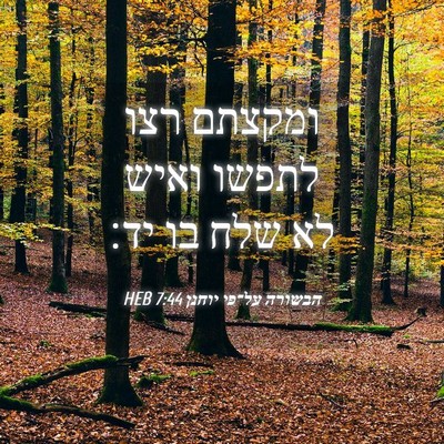 Picture 04 - הבשורה על־פי יוחנן 7:44 HEB - ומקצתם רצו לתפשו ואיש לא - Bible Verse Picture