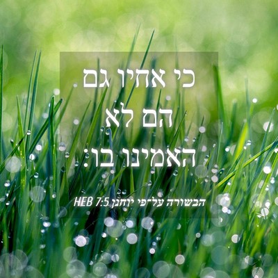 Picture 04 - הבשורה על־פי יוחנן 7:5 HEB - כי אחיו גם הם לא האמינו - Bible Verse Picture