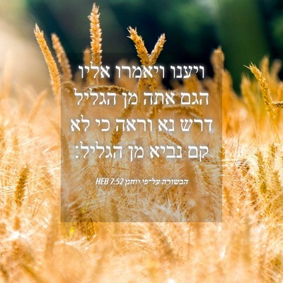 Picture 04 - הבשורה על־פי יוחנן 7:52 HEB - ויענו ויאמרו אליו הגם אתה - Bible Verse Picture