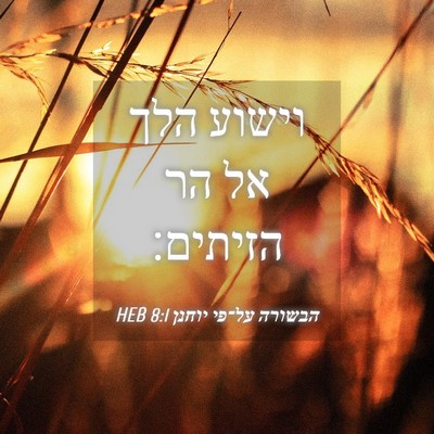 Picture 04 - הבשורה על־פי יוחנן 8:1 HEB - וישוע הלך אל הר - Bible Verse Picture