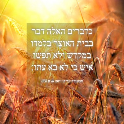 Picture 04 - הבשורה על־פי יוחנן 8:20 HEB - כדברים האלה דבר בבית האוצר - Bible Verse Picture