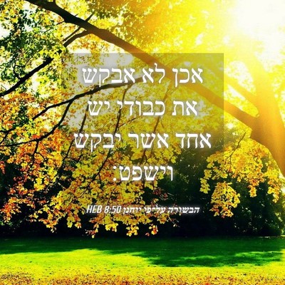 Picture 04 - הבשורה על־פי יוחנן 8:50 HEB - אכן לא אבקש את כבודי יש אחד - Bible Verse Picture