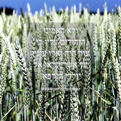 Picture 04 - הבשורה על־פי יוחנן 9:18 HEB - ולא האמינו היהודים עליו כי - Bible Verse Picture