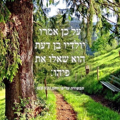 Picture 04 - הבשורה על־פי יוחנן 9:23 HEB - על כן אמרו יולדיו בן דעת - Bible Verse Picture