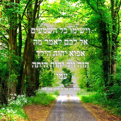 Picture 04 - הבשורה על־פי לוקס 1:66 HEB - וישימו כל השמעים אל לבם - Bible Verse Picture