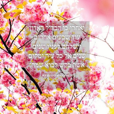 Picture 04 - הבשורה על־פי לוקס 10:1 HEB - ואחרי כן הבדיל האדון עוד - Bible Verse Picture