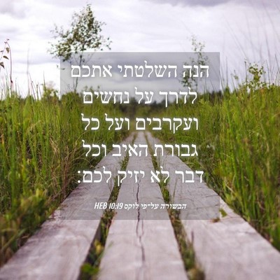 Picture 04 - הבשורה על־פי לוקס 10:19 HEB - הנה השלטתי אתכם לדרך על - Bible Verse Picture