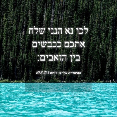 Picture 04 - הבשורה על־פי לוקס 10:3 HEB - לכו נא הנני שלח אתכם ככבשים - Bible Verse Picture