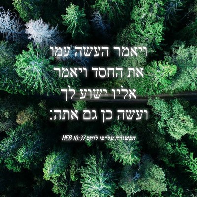 Picture 04 - הבשורה על־פי לוקס 10:37 HEB - ויאמר העשה עמו את החסד - Bible Verse Picture