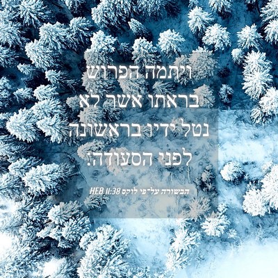Picture 04 - הבשורה על־פי לוקס 11:38 HEB - ויתמה הפרוש בראתו אשר לא - Bible Verse Picture
