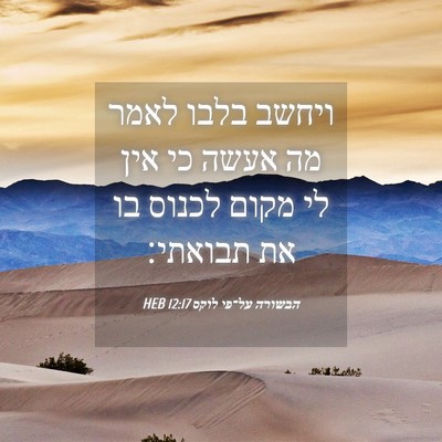 Picture 04 - הבשורה על־פי לוקס 12:17 HEB - ויחשב בלבו לאמר מה אעשה כי - Bible Verse Picture