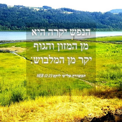 Picture 04 - הבשורה על־פי לוקס 12:23 HEB - הנפש יקרה היא מן המזון - Bible Verse Picture