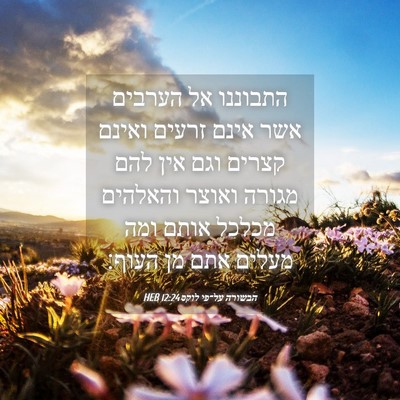 Picture 04 - הבשורה על־פי לוקס 12:24 HEB - התבוננו אל הערבים אשר אינם - Bible Verse Picture