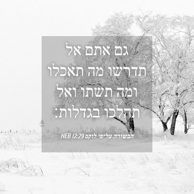Picture 04 - הבשורה על־פי לוקס 12:29 HEB - גם אתם אל תדרשו מה תאכלו - Bible Verse Picture