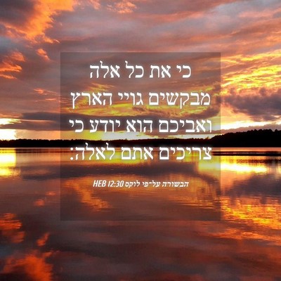 Picture 04 - הבשורה על־פי לוקס 12:30 HEB - כי את כל אלה מבקשים גויי - Bible Verse Picture