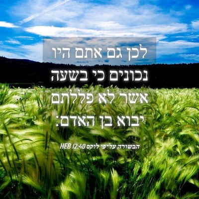 Picture 04 - הבשורה על־פי לוקס 12:40 HEB - לכן גם אתם היו נכונים כי - Bible Verse Picture