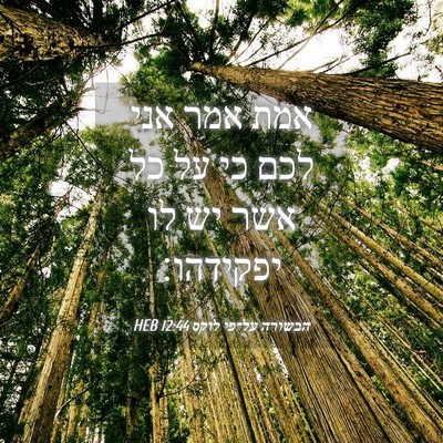 Picture 04 - הבשורה על־פי לוקס 12:44 HEB - אמת אמר אני לכם כי על כל אשר - Bible Verse Picture