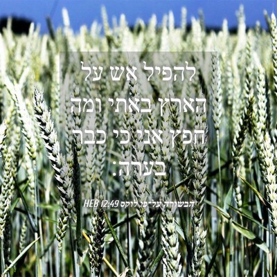 Picture 04 - הבשורה על־פי לוקס 12:49 HEB - להפיל אש על הארץ באתי ומה - Bible Verse Picture