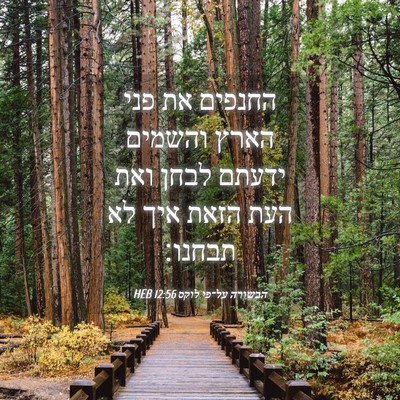 Picture 04 - הבשורה על־פי לוקס 12:56 HEB - החנפים את פני הארץ והשמים - Bible Verse Picture