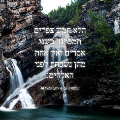 Picture 04 - הבשורה על־פי לוקס 12:6 HEB - הלא חמש צפרים תמכרנה בשני - Bible Verse Picture
