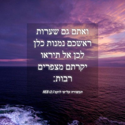 Picture 04 - הבשורה על־פי לוקס 12:7 HEB - ואתם גם שערות ראשכם נמנות - Bible Verse Picture