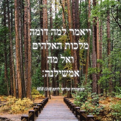 Picture 04 - הבשורה על־פי לוקס 13:18 HEB - ויאמר למה דומה מלכות - Bible Verse Picture