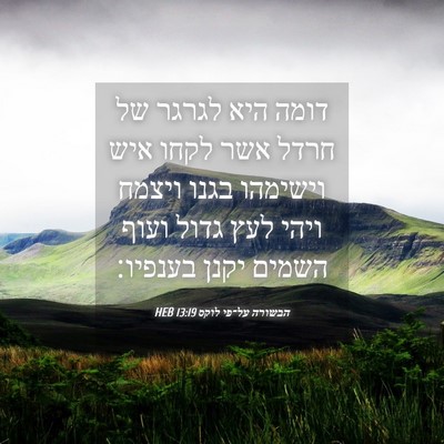 Picture 04 - הבשורה על־פי לוקס 13:19 HEB - דומה היא לגרגר של חרדל אשר - Bible Verse Picture