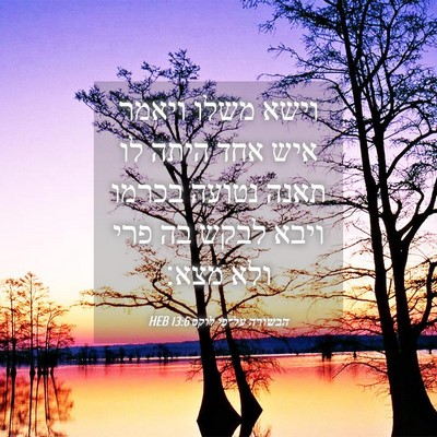 Picture 04 - הבשורה על־פי לוקס 13:6 HEB - וישא משלו ויאמר איש אחד - Bible Verse Picture
