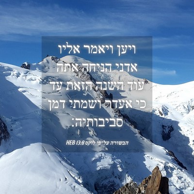 Picture 04 - הבשורה על־פי לוקס 13:8 HEB - ויען ויאמר אליו אדני הניחה - Bible Verse Picture