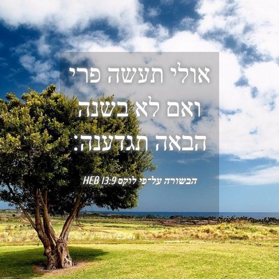 Picture 04 - הבשורה על־פי לוקס 13:9 HEB - אולי תעשה פרי ואם לא בשנה - Bible Verse Picture