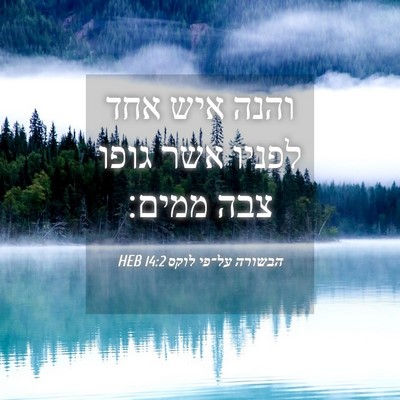 Picture 04 - הבשורה על־פי לוקס 14:2 HEB - והנה איש אחד לפניו אשר גופו - Bible Verse Picture