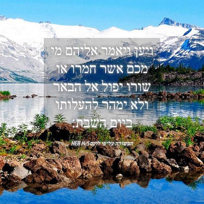 Picture 04 - הבשורה על־פי לוקס 14:5 HEB - ויען ויאמר אליהם מי מכם אשר - Bible Verse Picture