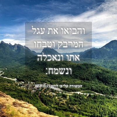 Picture 04 - הבשורה על־פי לוקס 15:23 HEB - והביאו את עגל המרבק וטבחו - Bible Verse Picture