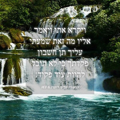Picture 04 - הבשורה על־פי לוקס 16:2 HEB - ויקרא אתו ויאמר אליו מה זאת - Bible Verse Picture