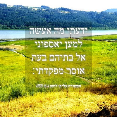 Picture 04 - הבשורה על־פי לוקס 16:4 HEB - ידעתי מה אעשה למען יאספוני - Bible Verse Picture