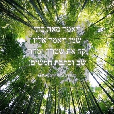 Picture 04 - הבשורה על־פי לוקס 16:6 HEB - ויאמר מאת בתי שמן ויאמר - Bible Verse Picture