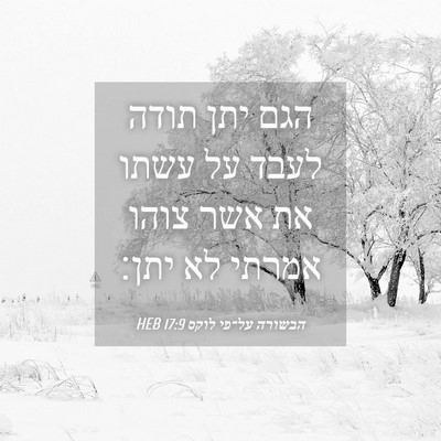 Picture 04 - הבשורה על־פי לוקס 17:9 HEB - הגם יתן תודה לעבד על עשתו - Bible Verse Picture