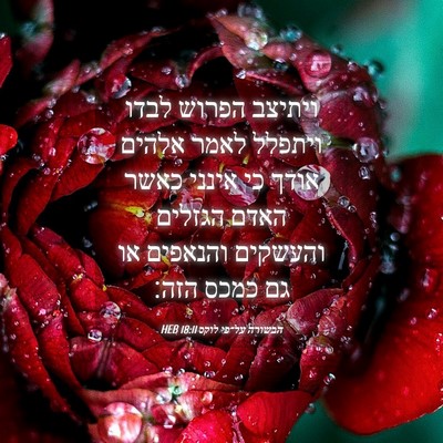 Picture 04 - הבשורה על־פי לוקס 18:11 HEB - ויתיצב הפרוש לבדו ויתפלל - Bible Verse Picture