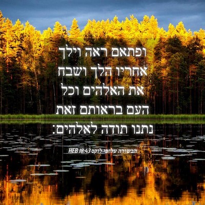 Picture 04 - הבשורה על־פי לוקס 18:43 HEB - ופתאם ראה וילך אחריו הלך - Bible Verse Picture